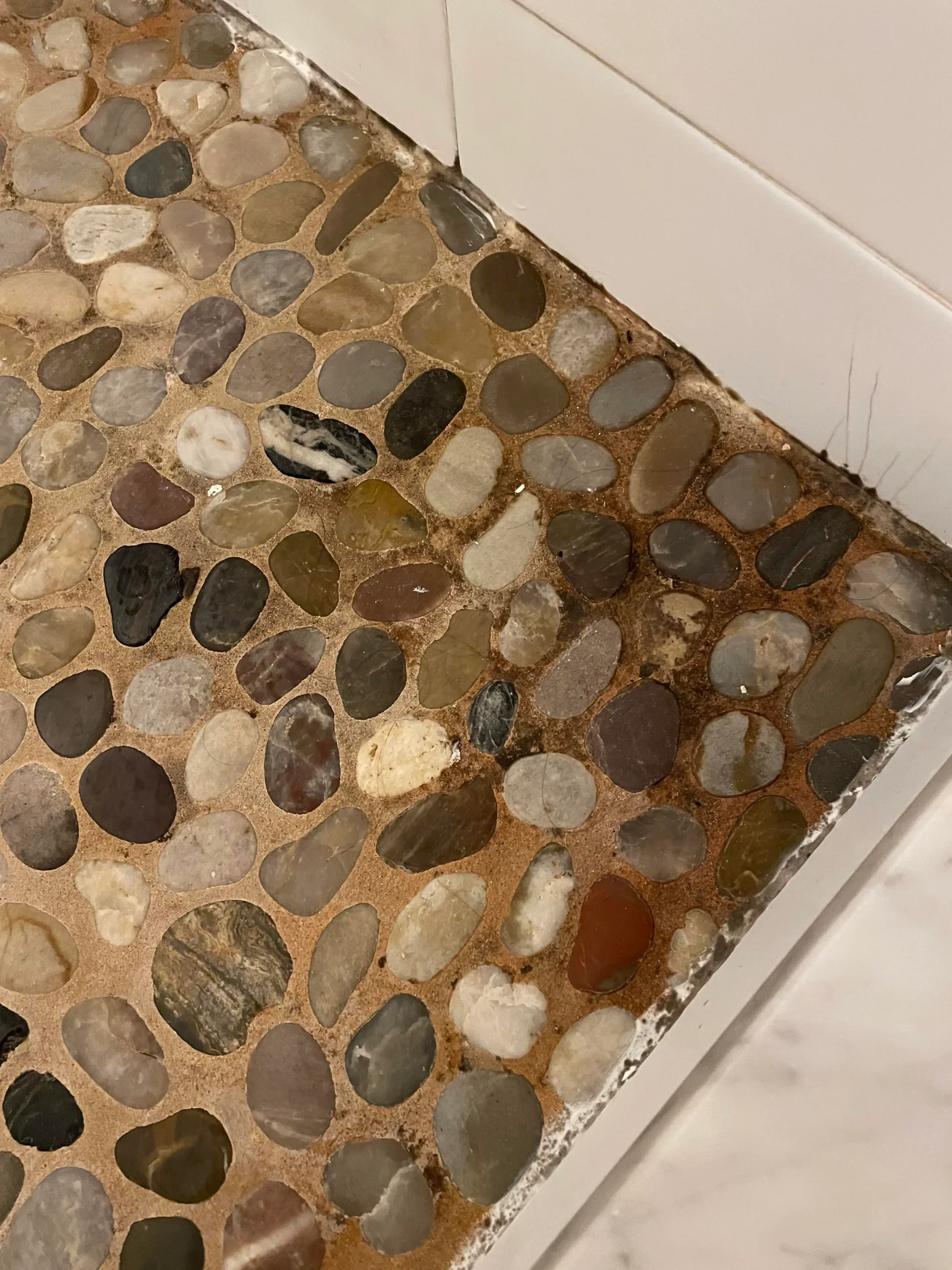 Pebble dash wall before and after cleaning