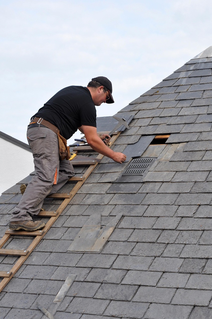Professional roof cleaning and coating service