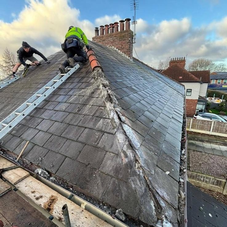 Professional roof repair service