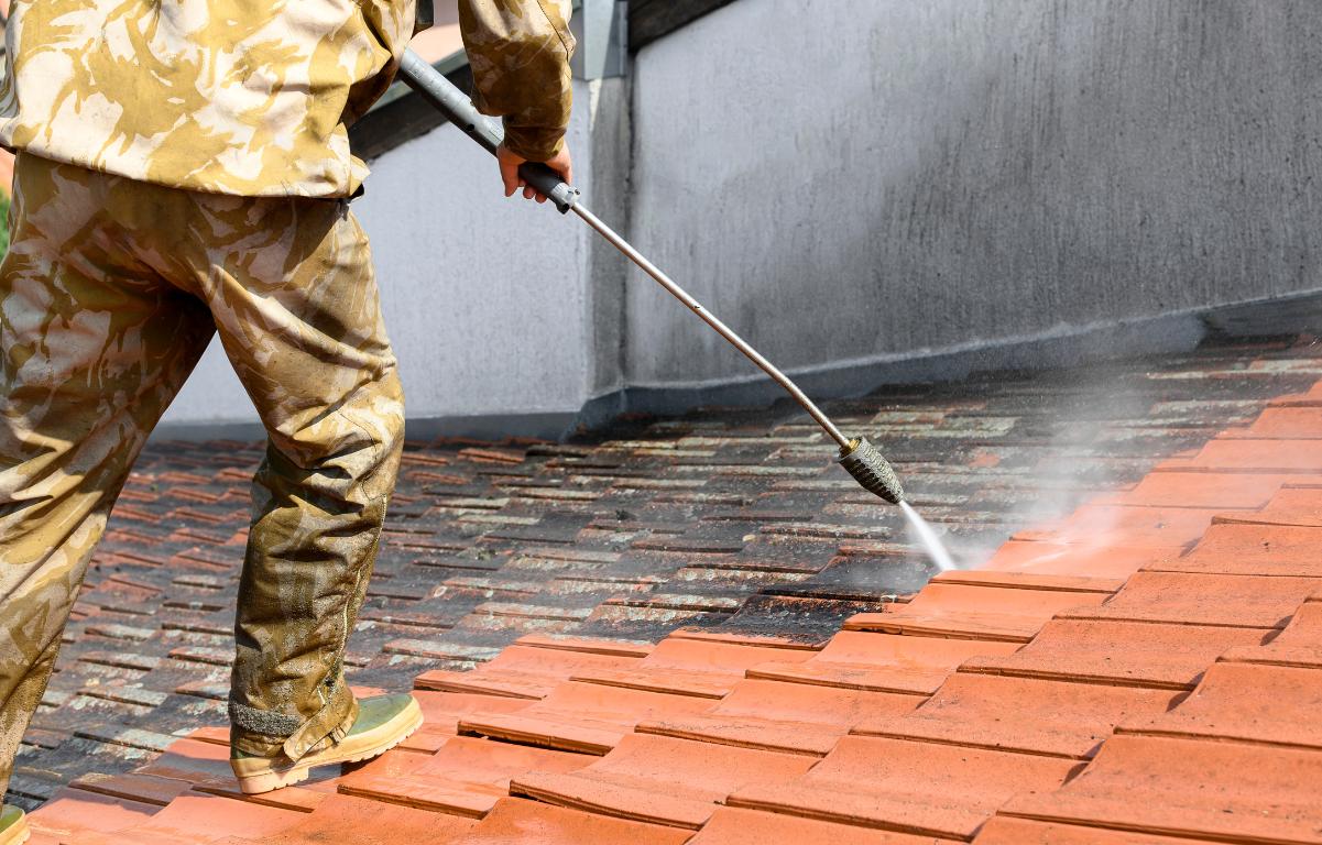 Roof Cleaning & Coating